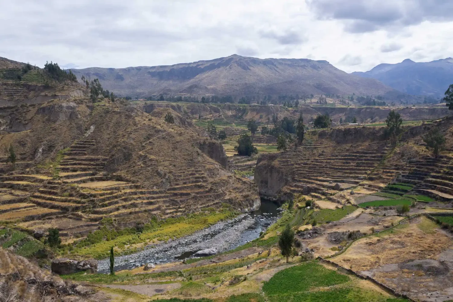 Cañon Del Colca