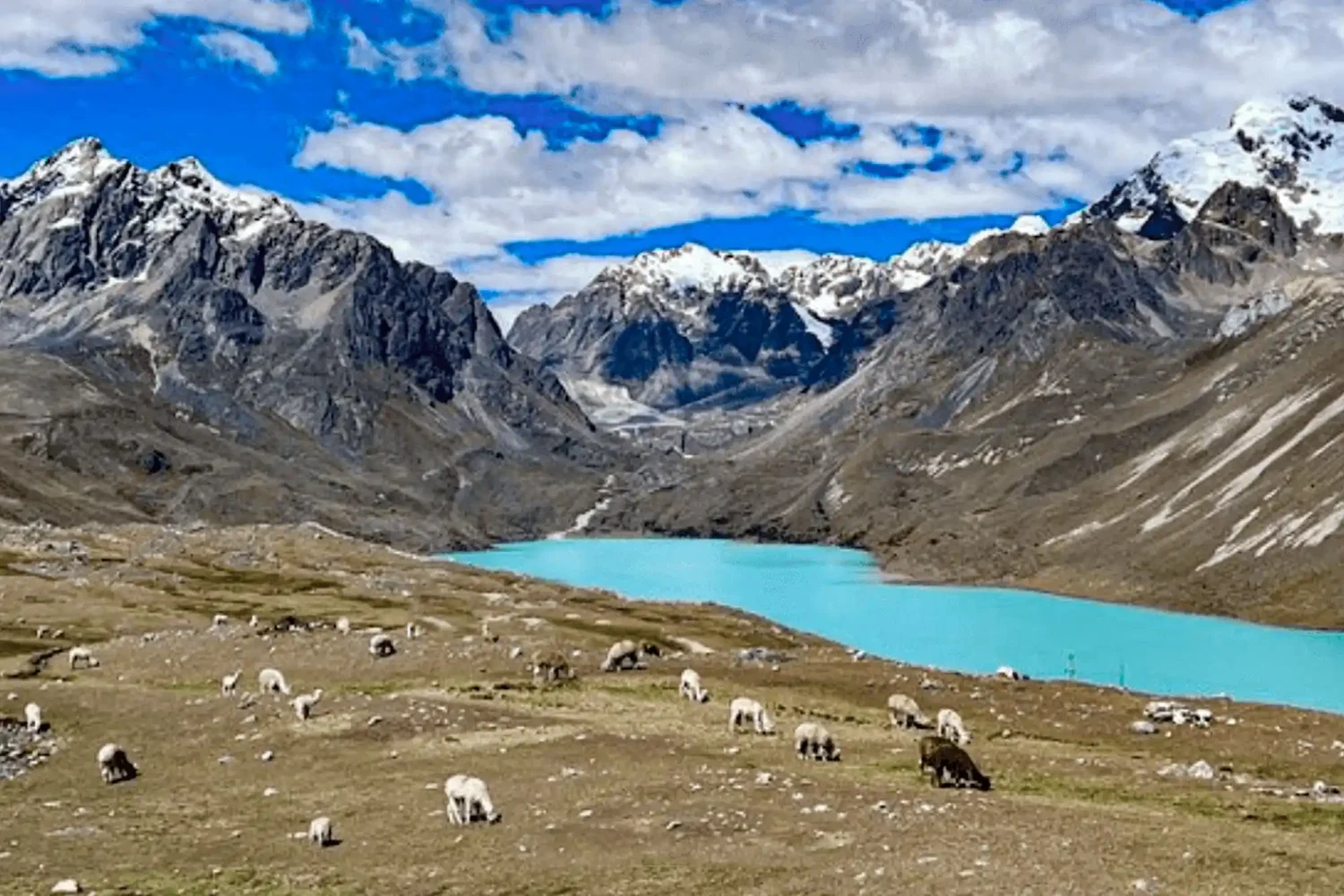 Laguna Singrenacocha