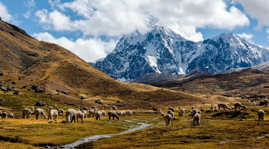 ausangate Trek
