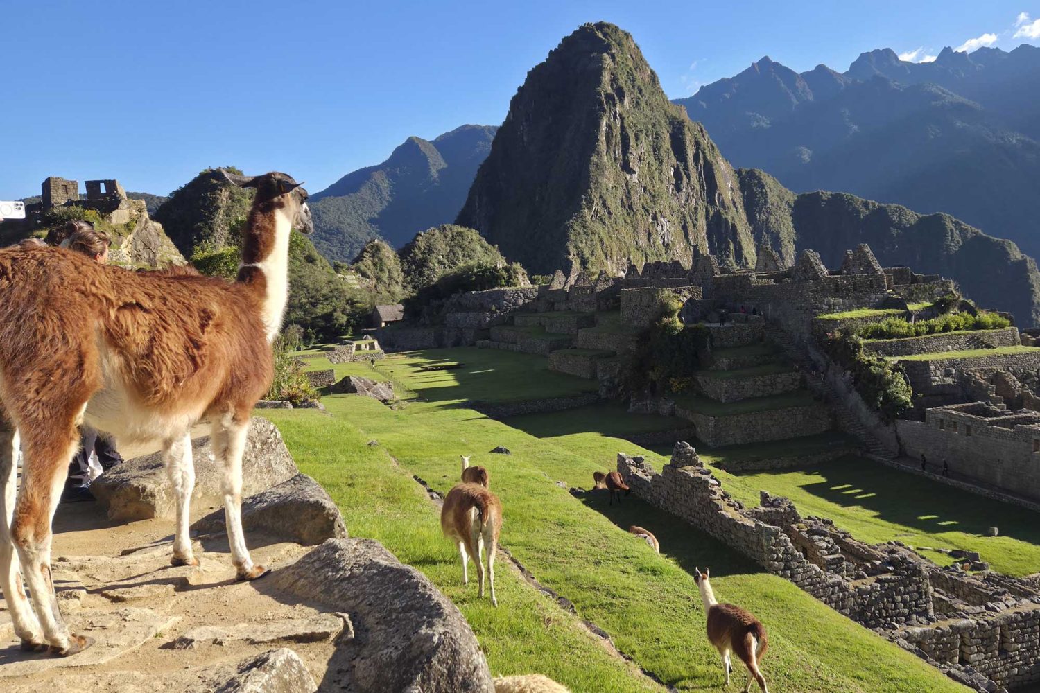 Machu Picchu Tour