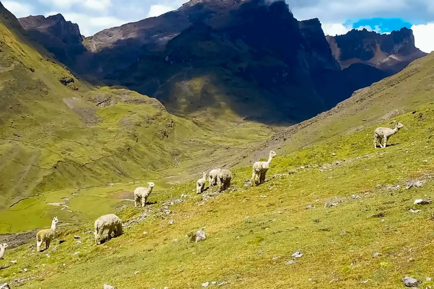 Lares Trek