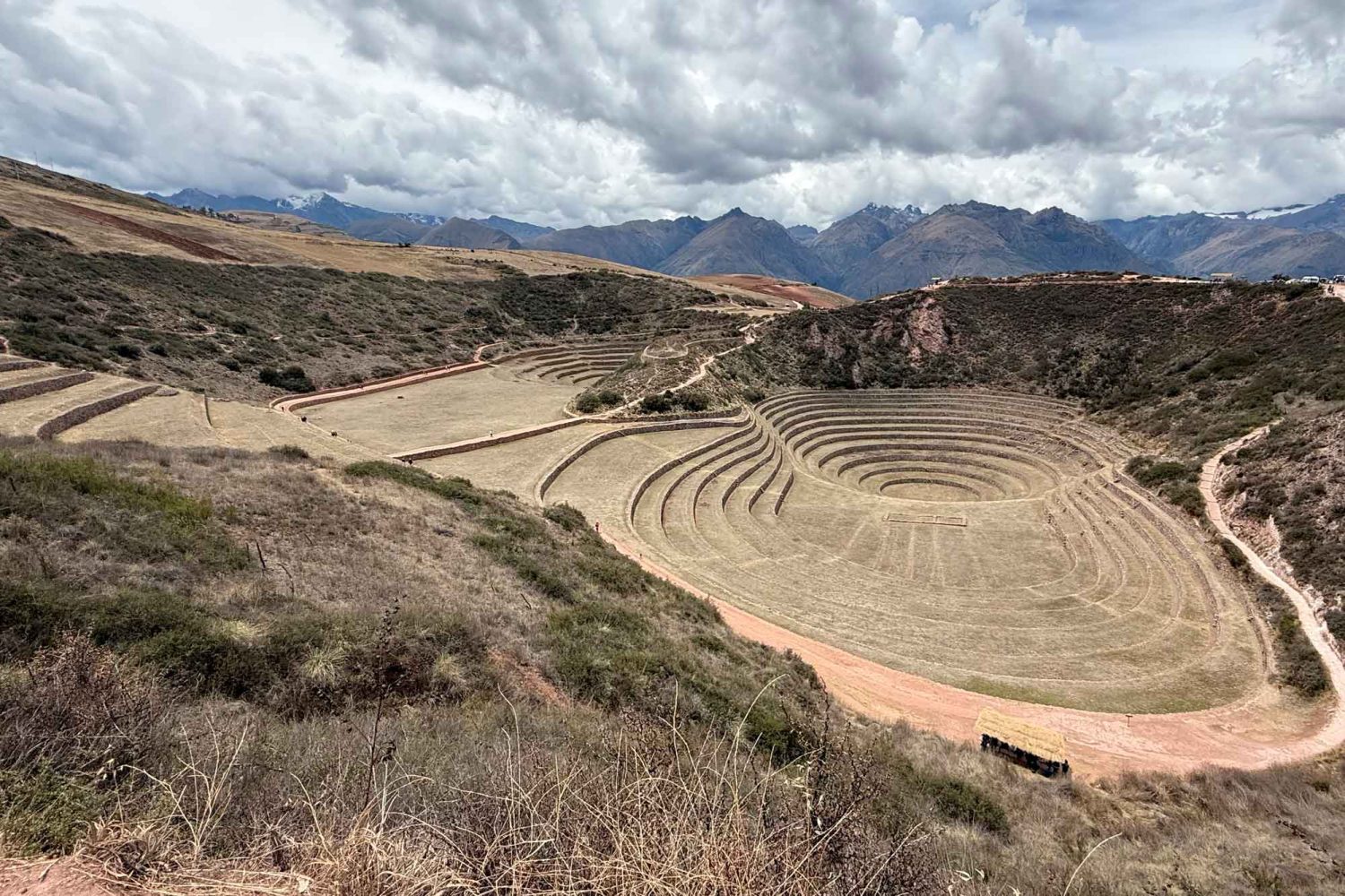 Moray