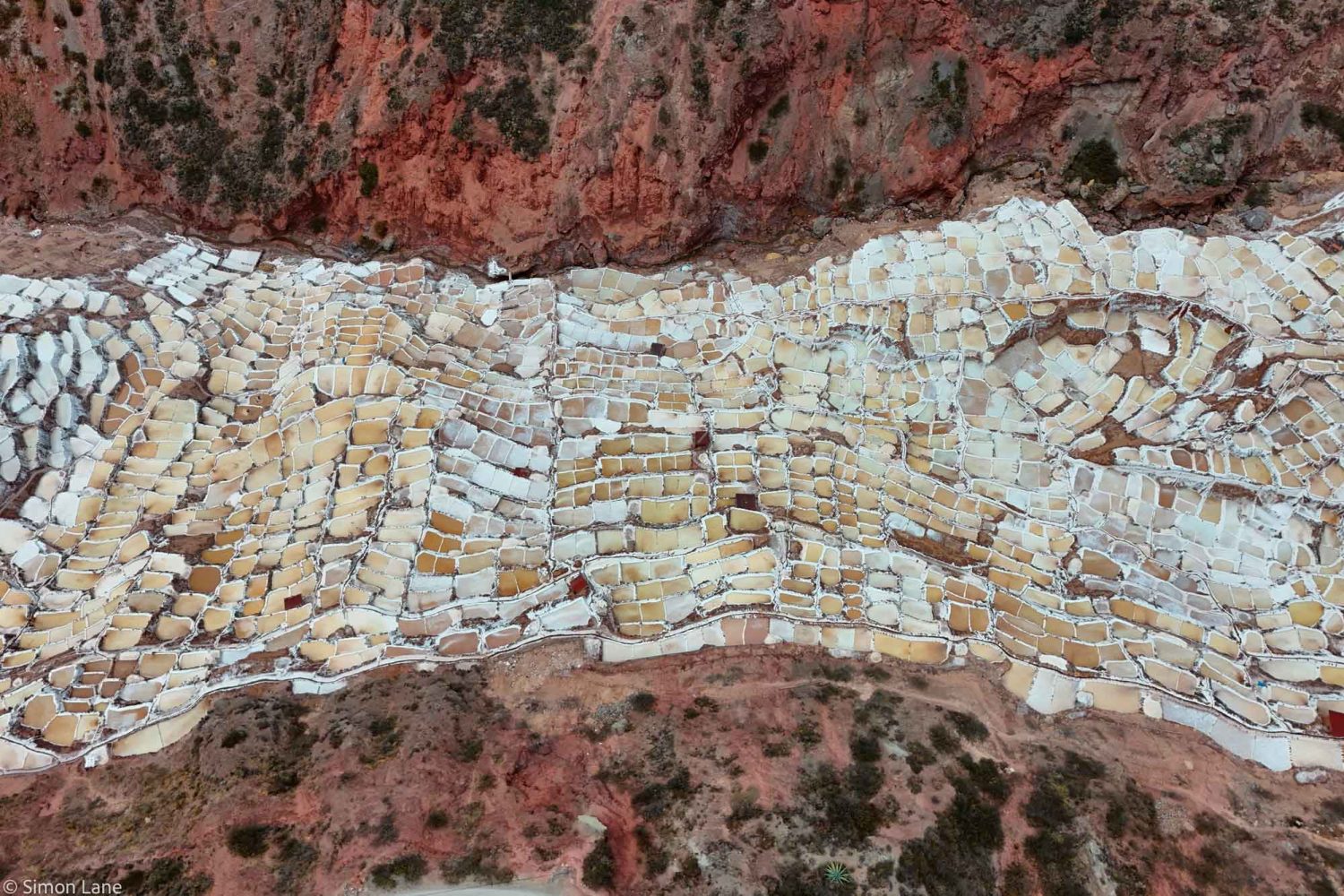 Maras