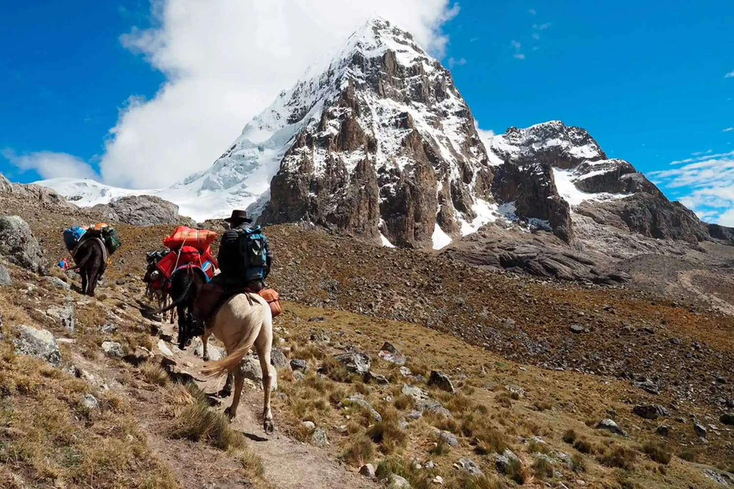 Salkantay Trek