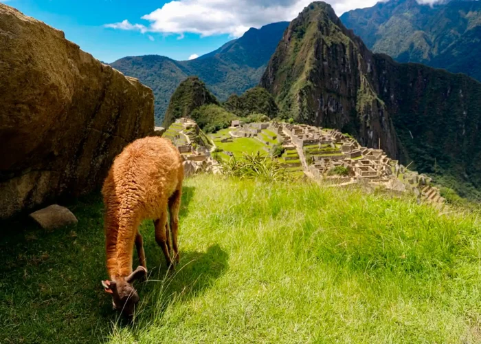 cusco Tours