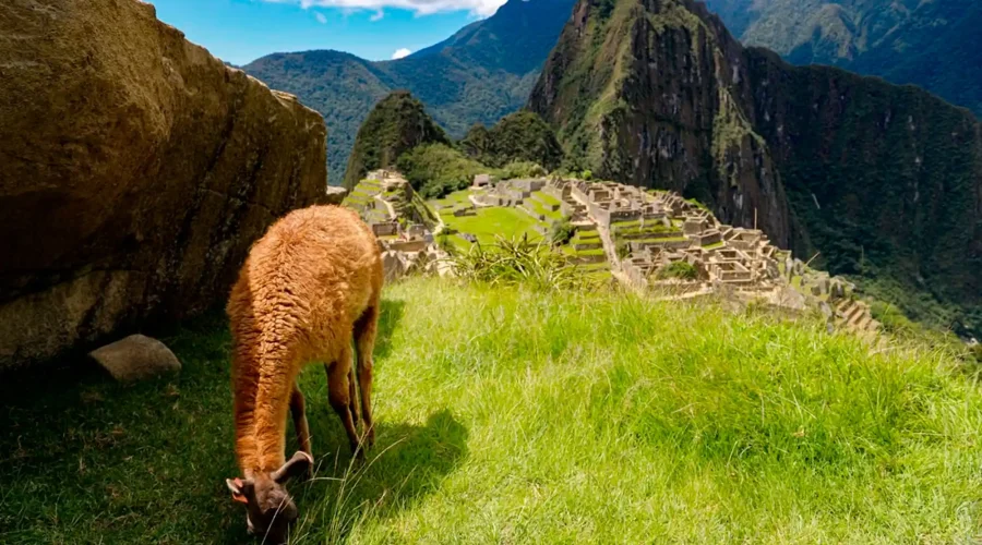 cusco Tours
