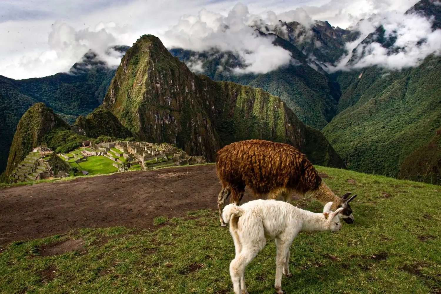 Peru Tours
