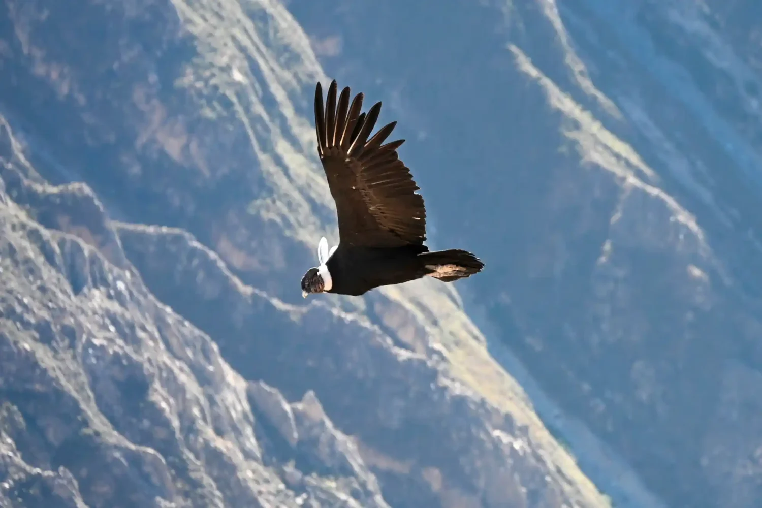 Peru Tours