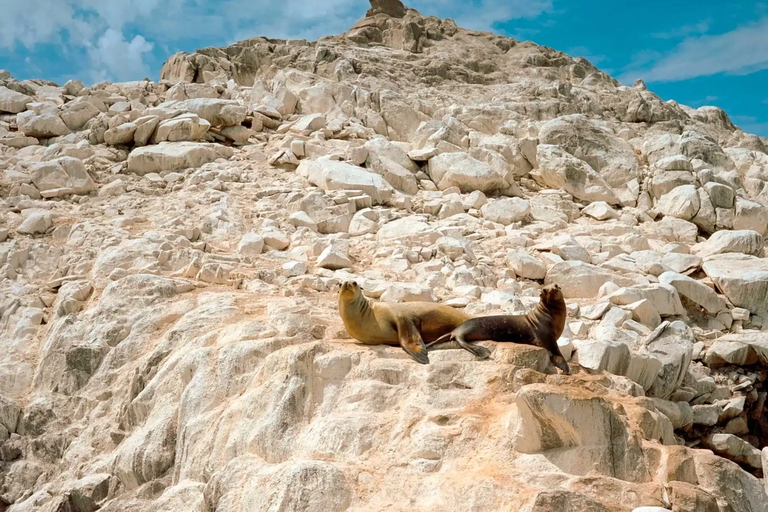 Peru tours