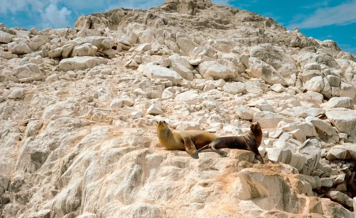 Peru tours