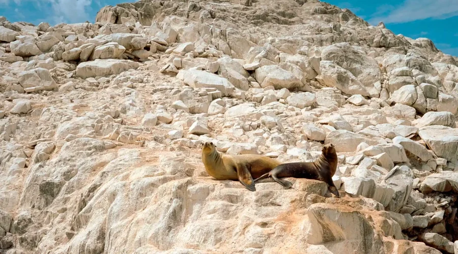Peru tours